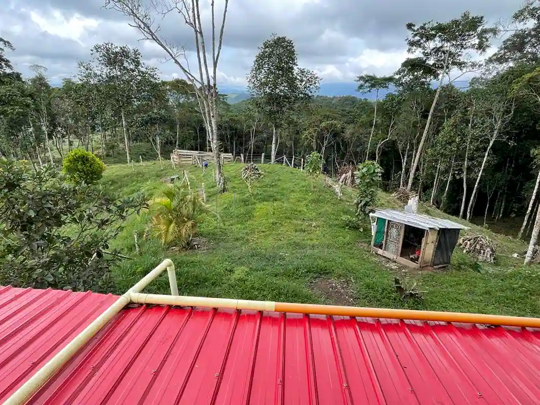 Finca Alto Gaviota